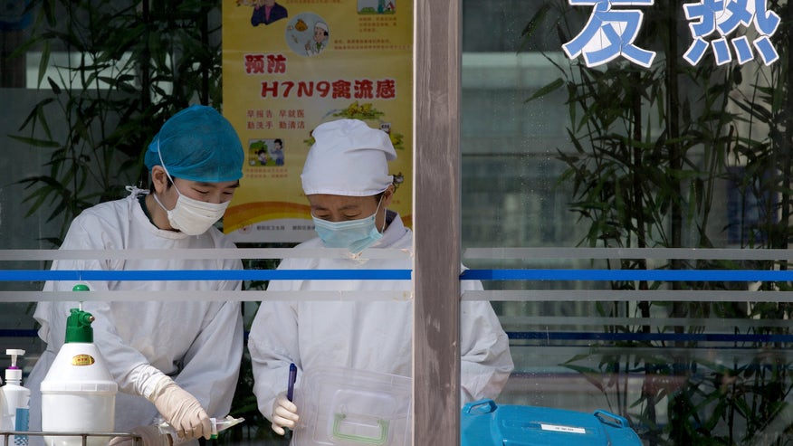 China Bird Flu_Angu.jpg